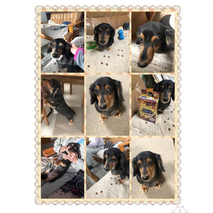 C9c5779b 6d61 420a 8664 89356ea91caa 1509313942370