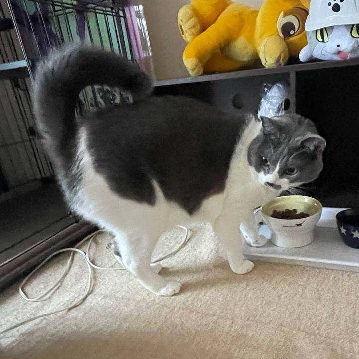 C9c587d0 390e 47a5 bcb7 2000a2fcf932 1666680585016