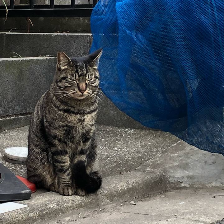 C9c59865 4625 44b5 82f1 b2c5e59ef1b6 1551459484837