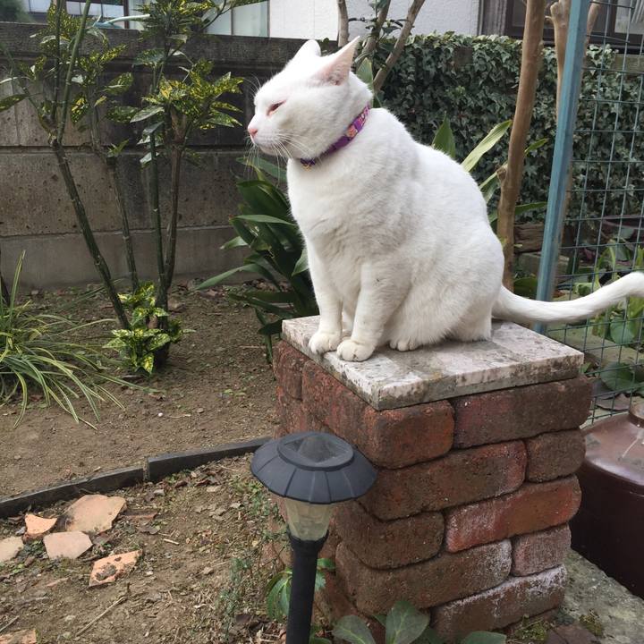 C9c59c96 6b7b 41b7 8b3f dbbc29547f00 1547266541345