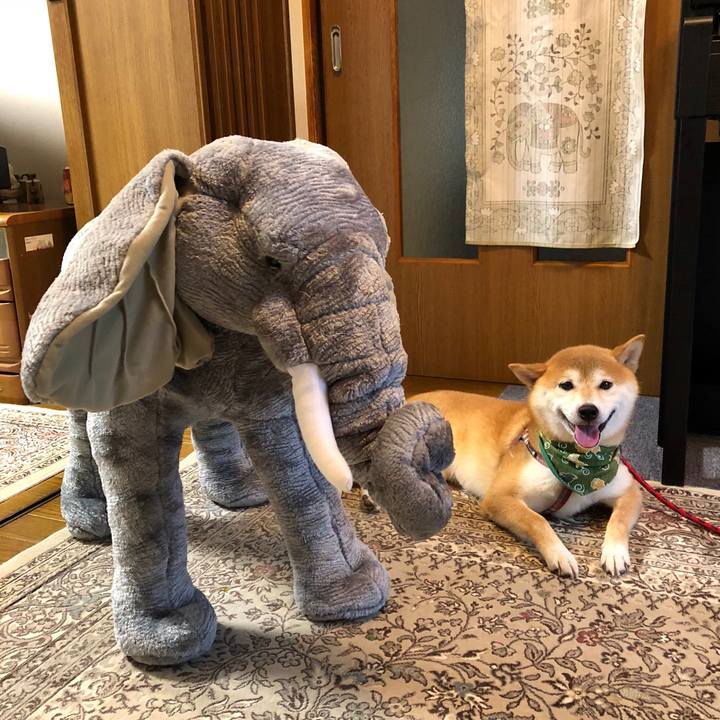 C9c59e04 7a7d 446d a7ed 7400f6b8b4fc 1533980492455