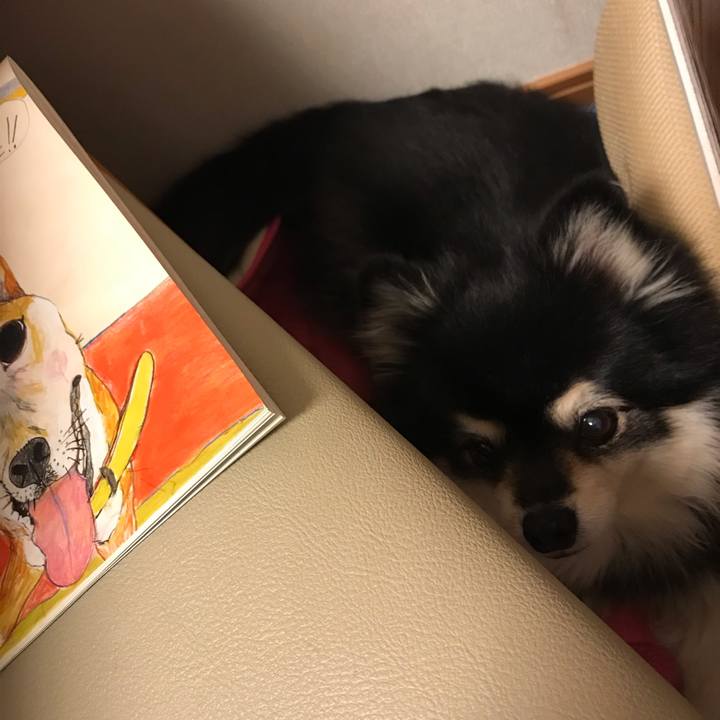 C9c59f2e 6bd6 452d 8407 459155261df8 1612090353872