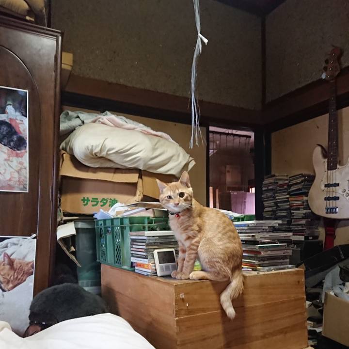 C9c5a090 40b1 4f14 82c8 c26a5ad832b0 1634526966962