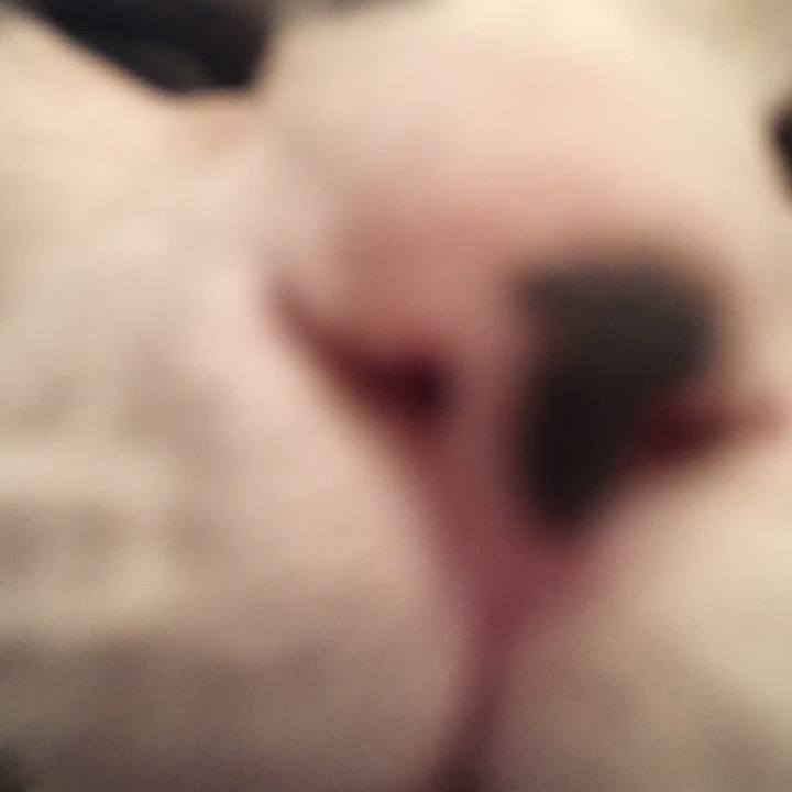 C9c5b1bd 4f48 4da3 be55 1b7099710073 1507898276984