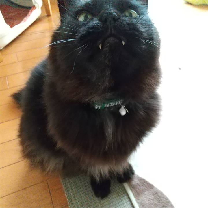 C9c5dff5 97c6 4fd6 9b91 7145b0bc243f 1585181772469