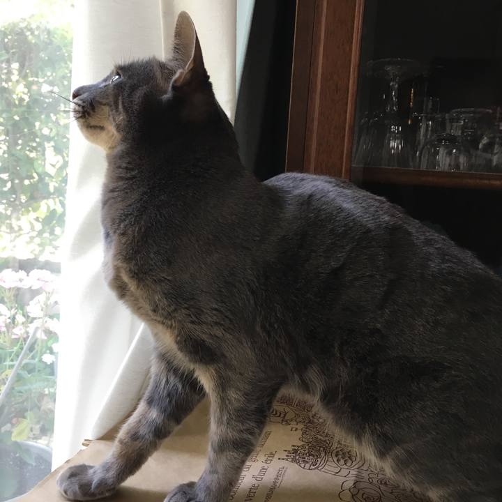 C9c6044e 8a03 4fcd 8064 67f6c7b06886 1558915084875