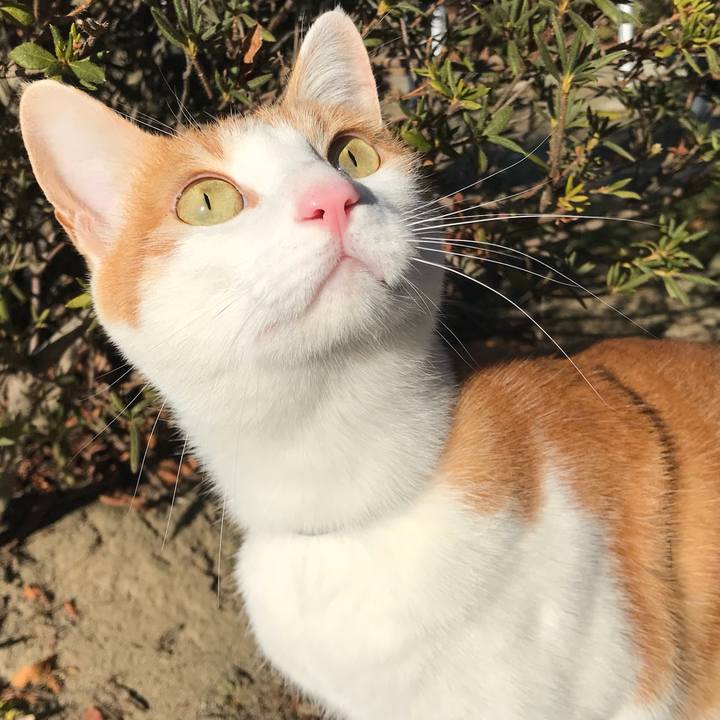 C9c6121e 365b 4c8e b65d ab0e01a527b0 1515736212968