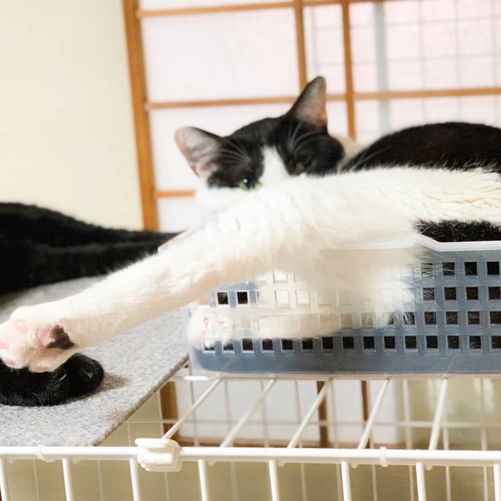 C9c65d23 ee23 4548 8248 d2e2dceea786 1571794168582