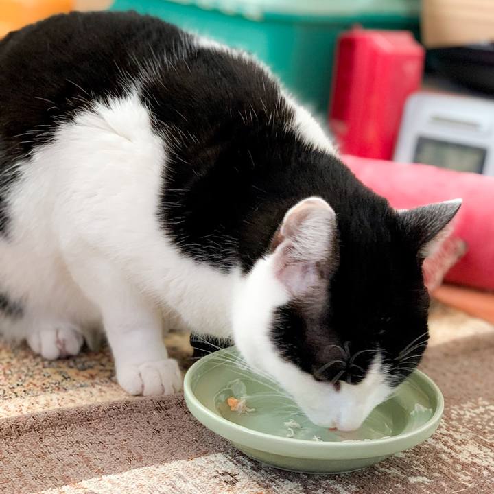 C9c6798b 2df9 404f 8130 488799471e5e 1583029152344