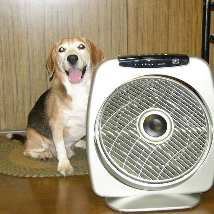 C9c6b22c abc5 4516 8b46 64ba822ac2e4 1646787364582