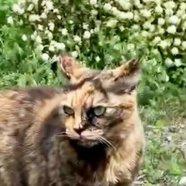 C9c6b8f9 c22e 4ade b83d 70203e2363ee 1742958332483