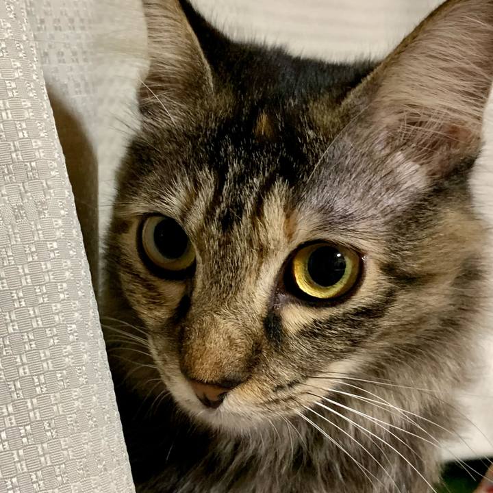 C9c752aa 9004 4cba bb08 8edd77dbb0ca 1653740304039