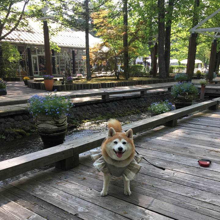 C9c78534 8479 4d94 8fc7 8d2132198388 1559044086367