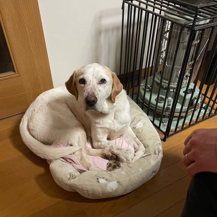 C9c79d85 8fa2 47f1 8f05 27546f7a8484 1772621797514