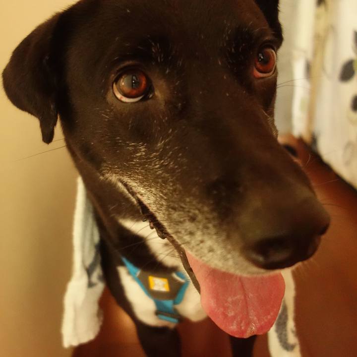 C9c7a987 4a3e 4dcf b3ac 9e795c1a3a3b 1697454298040