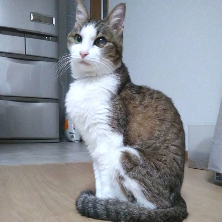 C9c7bec8 fc67 420f 80c4 a7a18c48b808 1545650254451