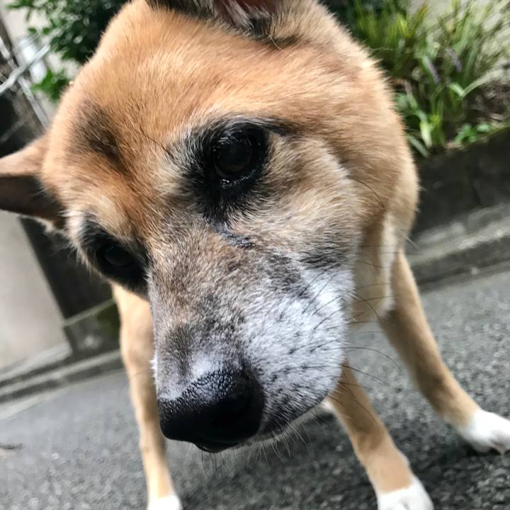 C9c7d1de f67c 4ad8 a76f 4f7dc44de03c 1536309212573