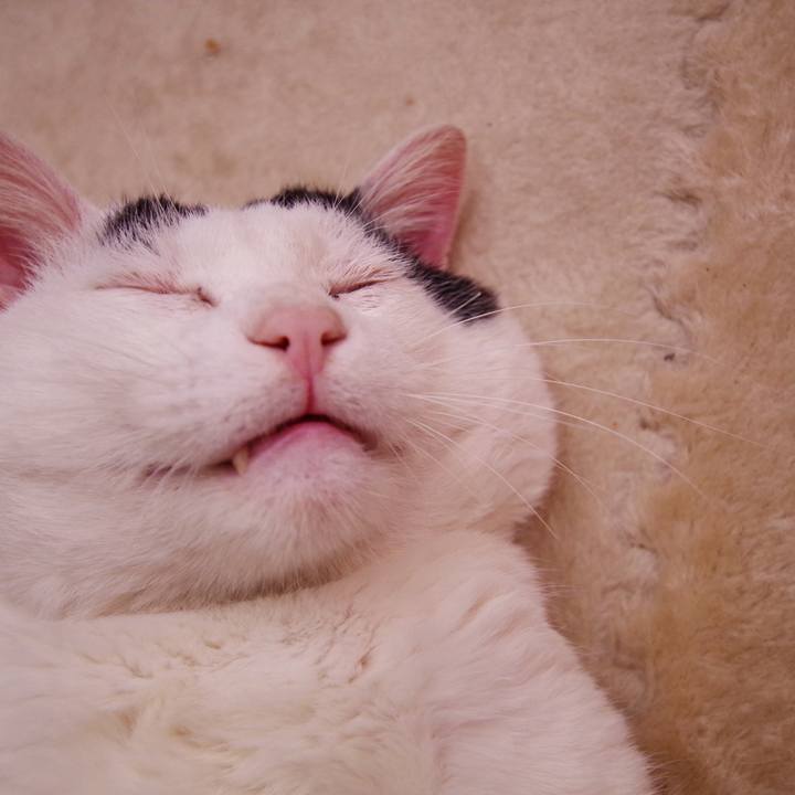 C9c7fef3 7cfc 4418 bd35 416cff575cf1 1576631549836