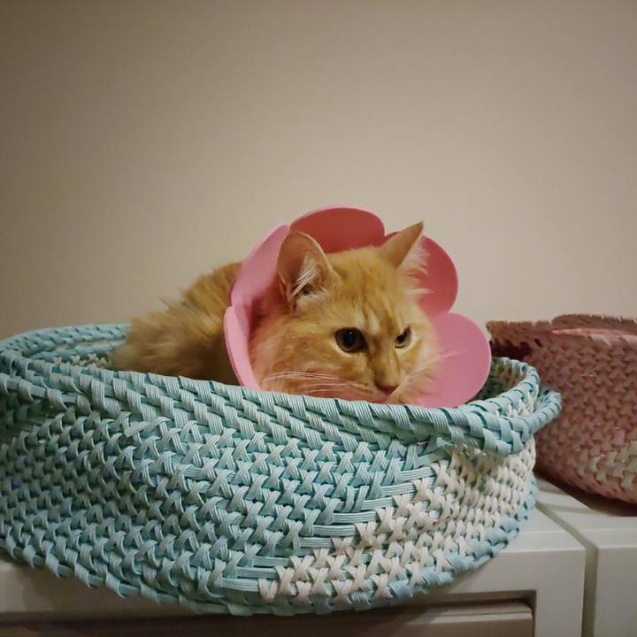 C9c851e3 a377 4e57 be1e dcb425a8eca1 1688651890335