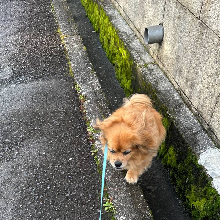 C9c8562e 3880 4c9d af6e b5acddd76f1d 1717287249349