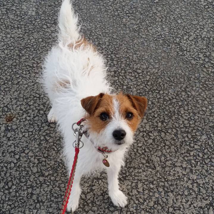 C9c893c5 8e46 430c ad31 99cdcbc2abed 1552872811913