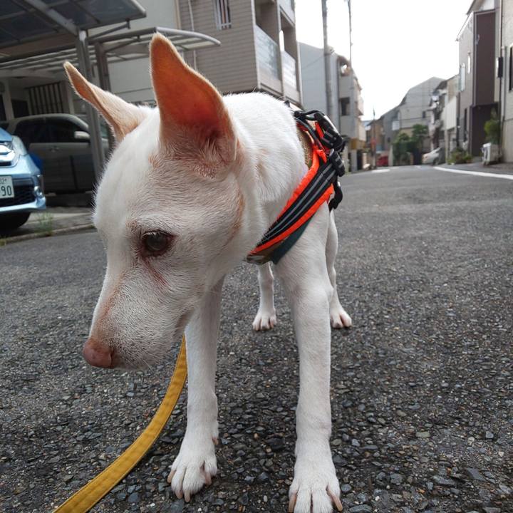 C9c8d3d9 e699 4920 886b fb37c15ecc3d 1566597498924