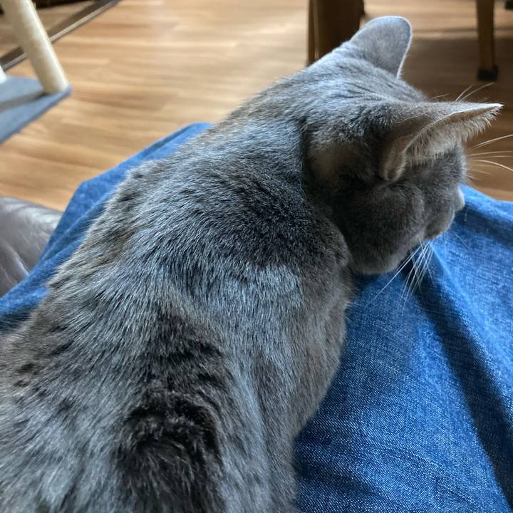 C9c90323 6892 4ee0 a86a feaa05cee6b6 1604763510875