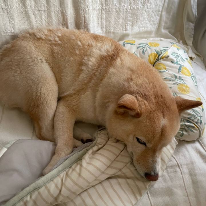 C9c91940 892b 4c0b 8754 d4dfcfd1659c 1722203411568