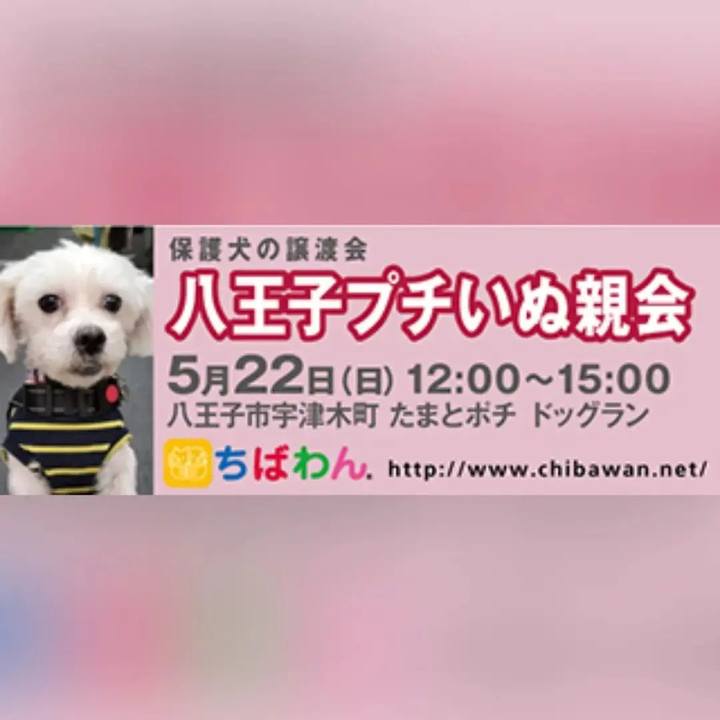 C9c96a1a 0b16 496f 9004 85a639a364e6 1653120955906