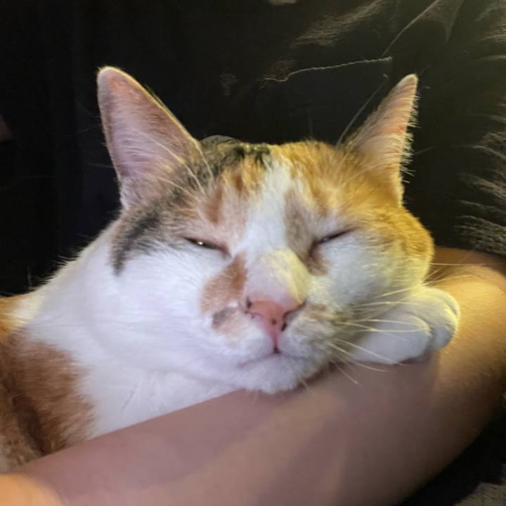 C9c9b686 39dd 4f25 bfa6 732c5f3eb541 1656253135004