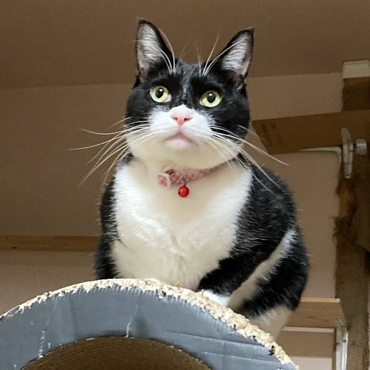 C9c9cfef 7571 4287 bd76 8b1534ba98c0 1644382073460