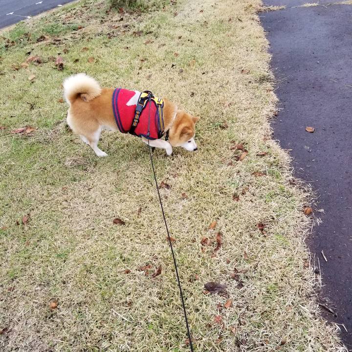 C9c9e0df 27c3 45eb b3be d49261acf281 1606373418531