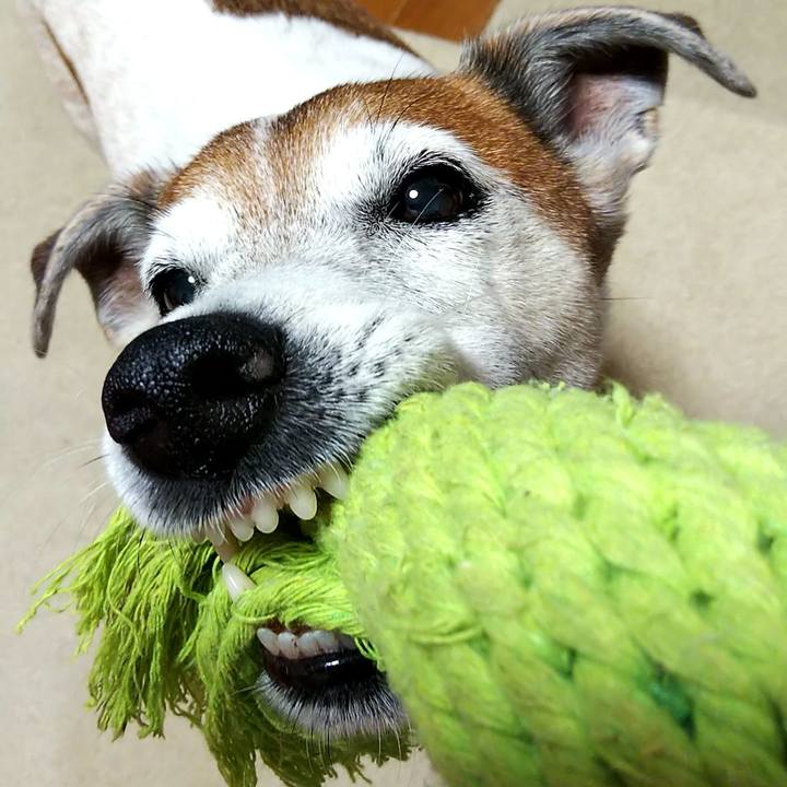 C9ca49e3 c891 4470 8c0a dd374de9c578 1548888680138