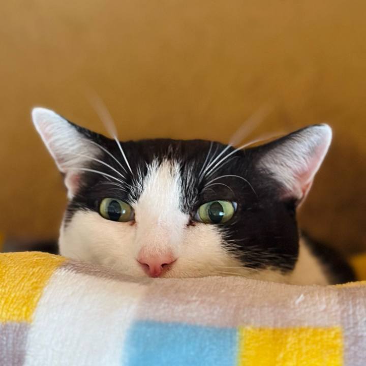 C9ca5d32 277d 4abf 84bd 5ed0d15551bf 1697245852762