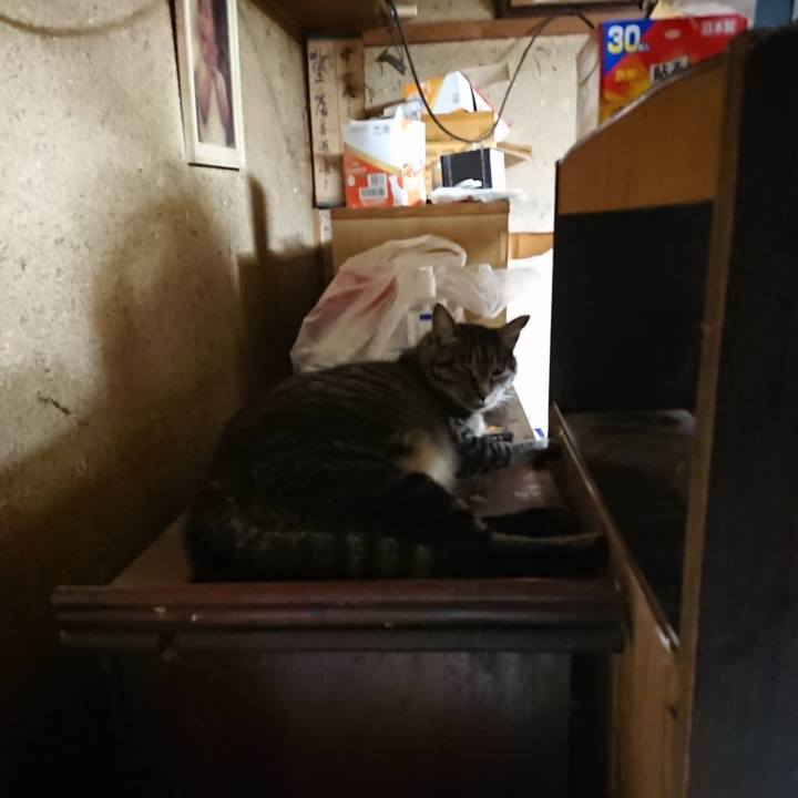 C9ca6f6f a68c 4a0b 8473 7c6a7167e3f7 1659474594533