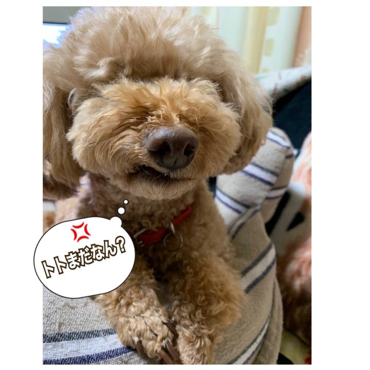 C9caa1c2 98bf 448a ac14 5c32d133d9bd 1542624195973