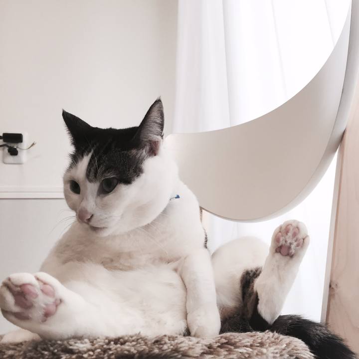 C9caabb4 77d8 4a8a 9d40 970e45c27df9 1516494250334