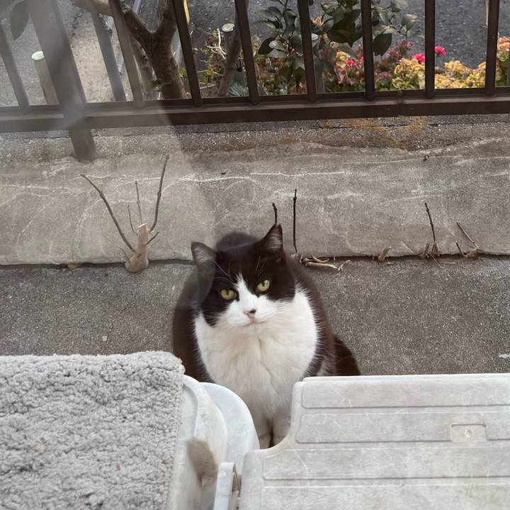 C9cabe67 f9ad 4d81 9c26 86709b4c8581 1770193555319