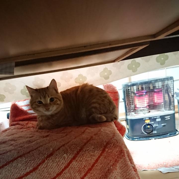 C9cac3bd 511c 4a32 8ff1 7d0db21d4ca7 1637706623889