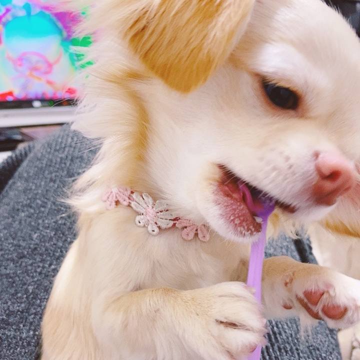 C9caccf8 e469 4bc9 a12d 6347338629c9 1616393468478