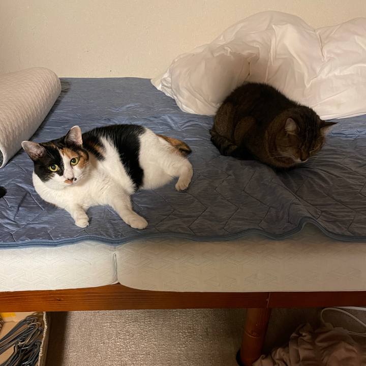 C9cae550 2edf 4b65 a2cc 7b404d165561 1765234399184