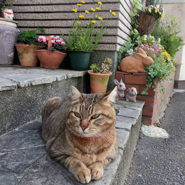 C9cb53d8 acb0 4614 8efe 40895171f2c5 1617329139082