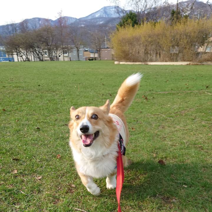 C9cb567e 6dac 4e8e 81cd 924b82f50181 1776037700103