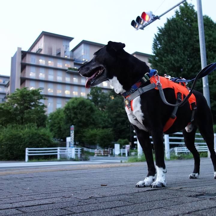 C9cb5bc8 be05 42df bbdb 85754af9e325 1719226941146