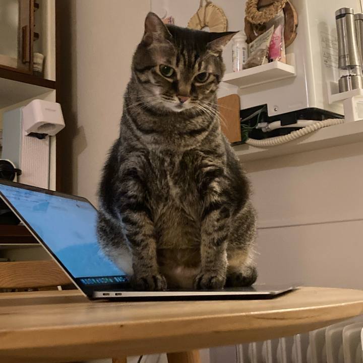 C9cb6aa1 b4ed 4ad3 8786 251404a9749d 1724153471766