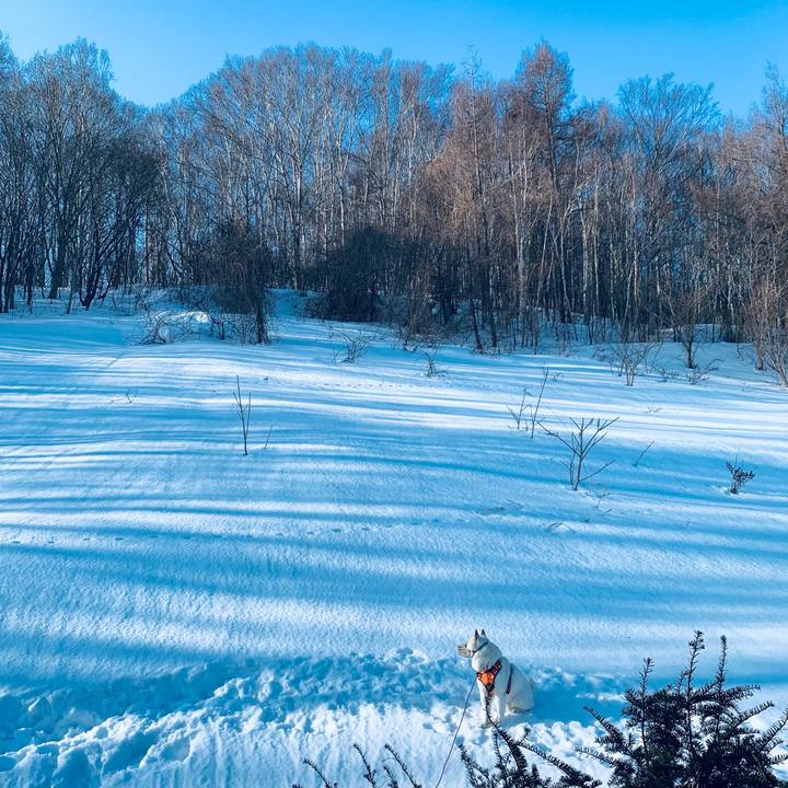 C9cb90e2 d8cb 45ca 8209 a3a868698e5c 1615420369442