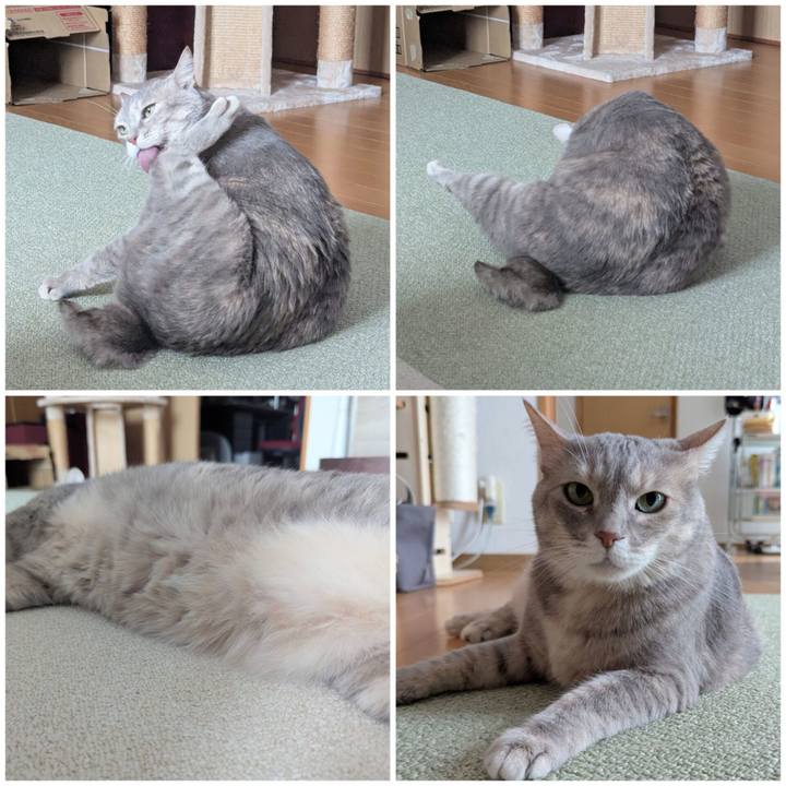 C9cba5ad 2c49 4937 b923 e2d45f3b4308 1747640986142