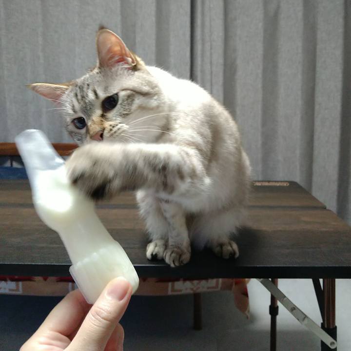 C9cc2e4f 9560 43f6 9a59 4e0ed3fe2597 1693914662746