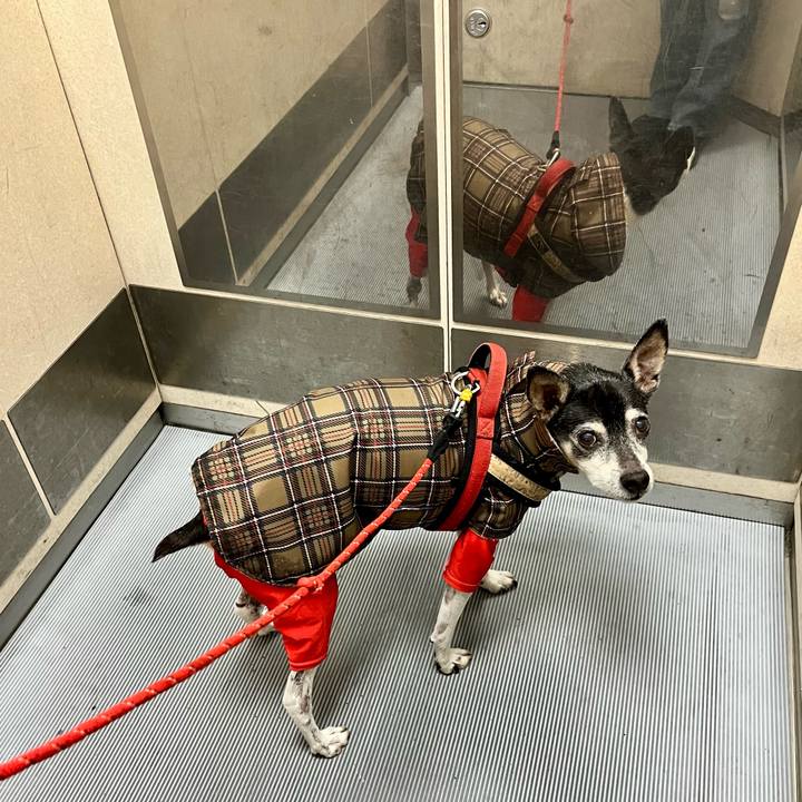 C9cc8f53 6303 4b58 bdfa 9524dabdaa21 1647207893042