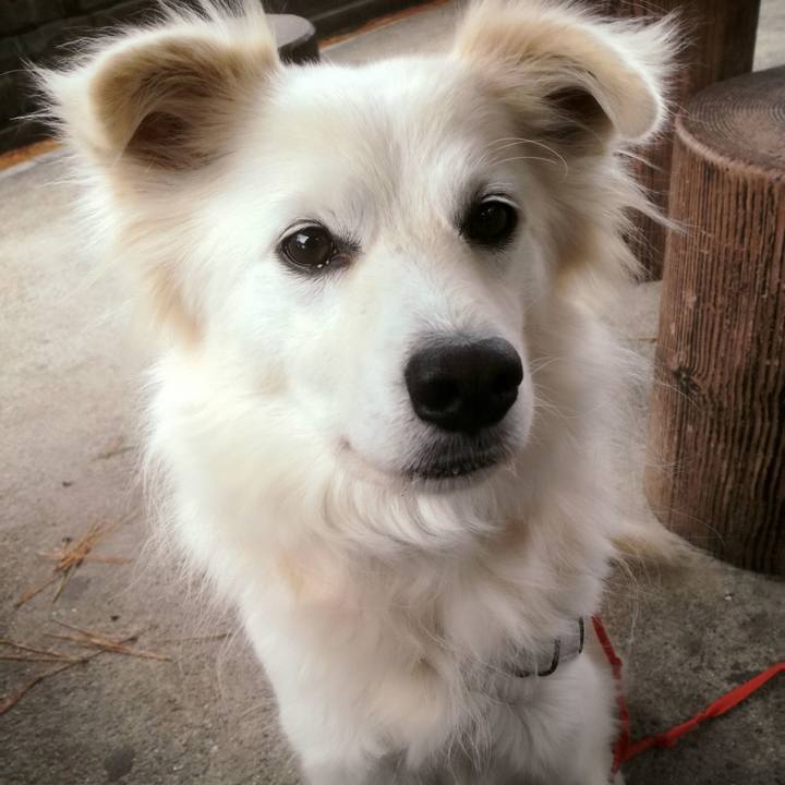 C9cc9377 0360 4965 9b25 5f363dc52963 1514511647333